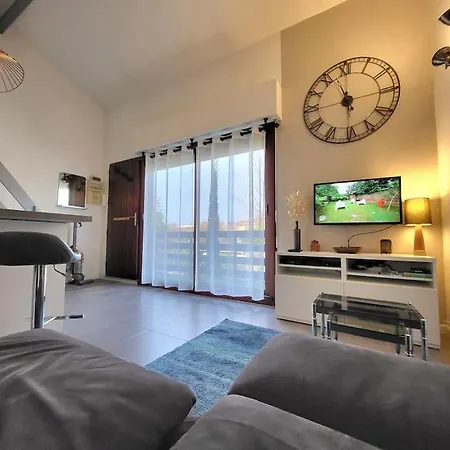 Le Confort Sous La Palmeraie - Parking Gratuit Apartment Merignac (Gironde)