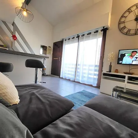 Le Confort Sous La Palmeraie - Parking Gratuit Apartment Merignac (Gironde)