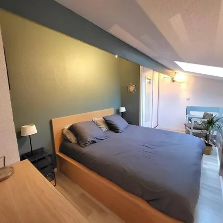 Le Confort Sous La Palmeraie - Parking Gratuit Apartment
